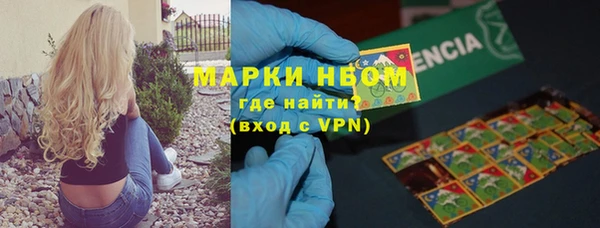 прущие грибы Алзамай