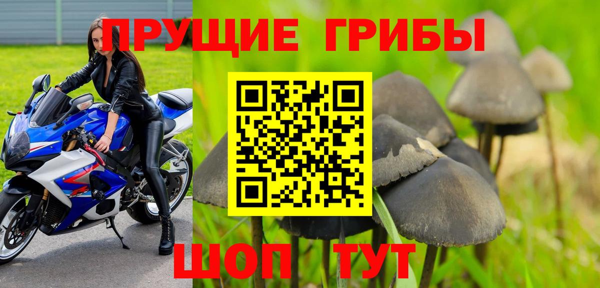 Псилоцибиновые грибы Cubensis  Вход с VPN  Набережные Челны 